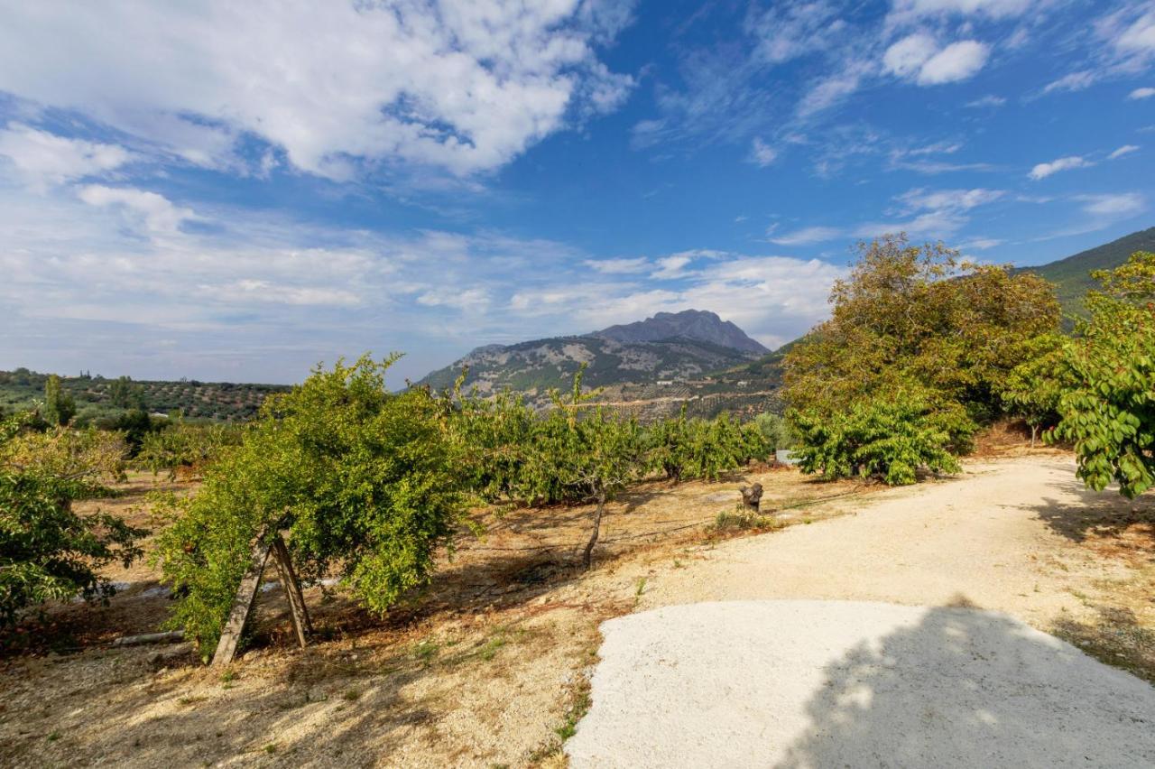 Casa Jurinea Alzar Villa Torres  Dış mekan fotoğraf