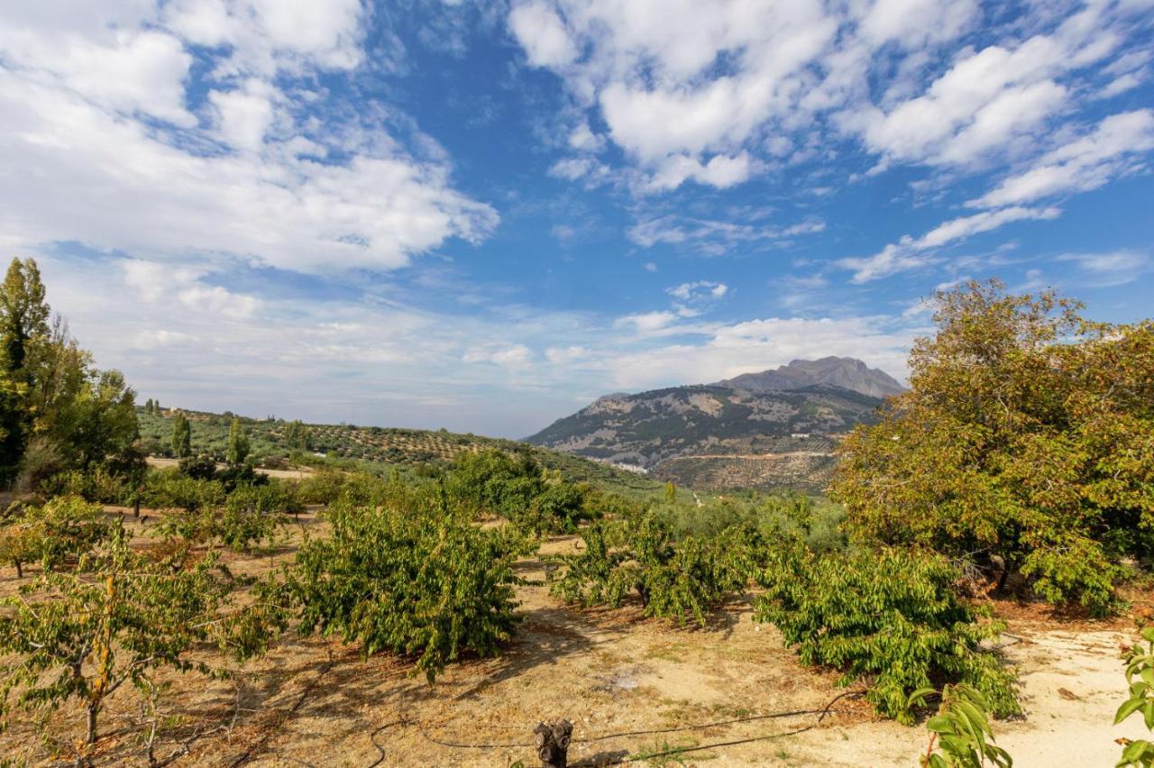 Casa Jurinea Alzar Villa Torres  Dış mekan fotoğraf