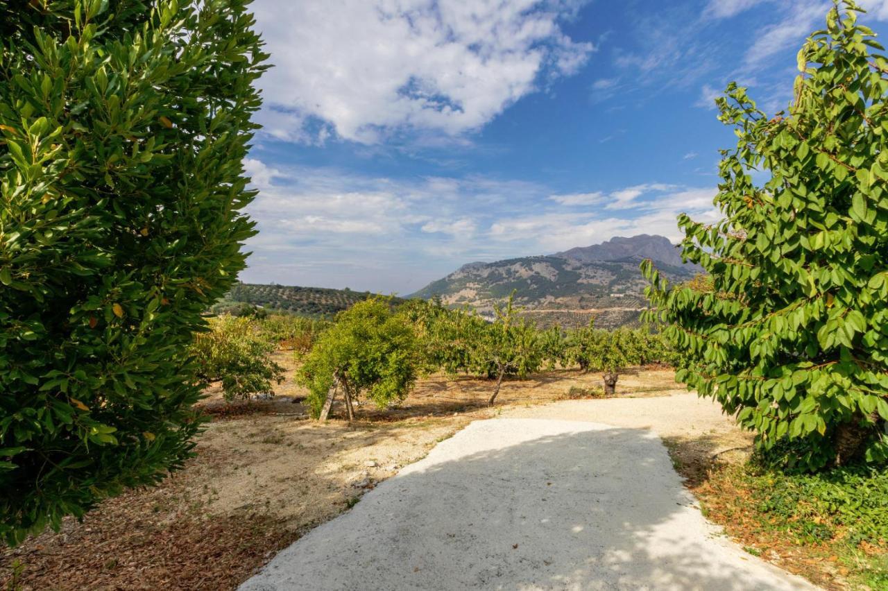 Casa Jurinea Alzar Villa Torres  Dış mekan fotoğraf