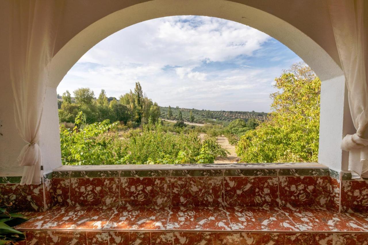Casa Jurinea Alzar Villa Torres  Dış mekan fotoğraf