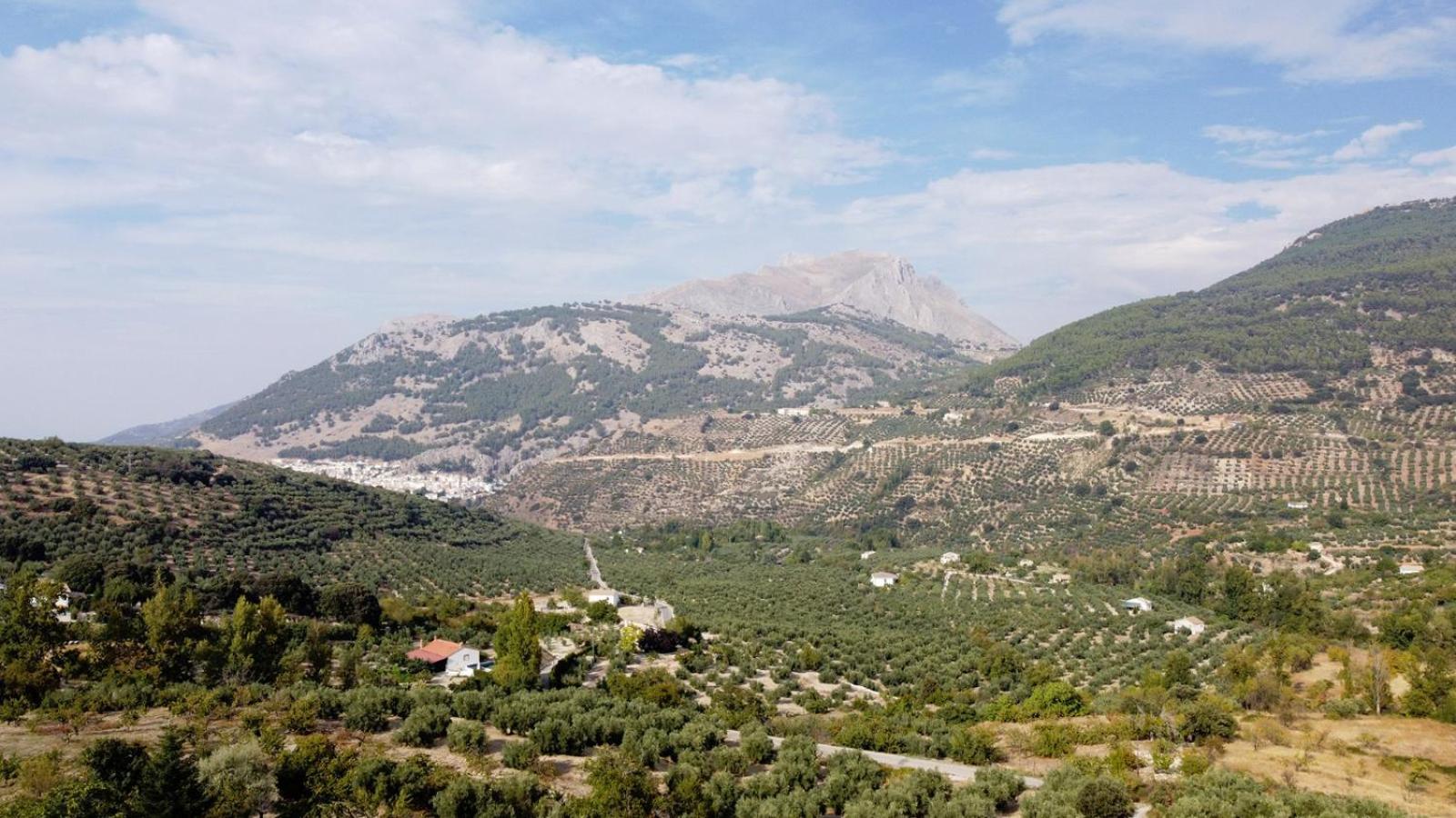 Casa Jurinea Alzar Villa Torres  Dış mekan fotoğraf